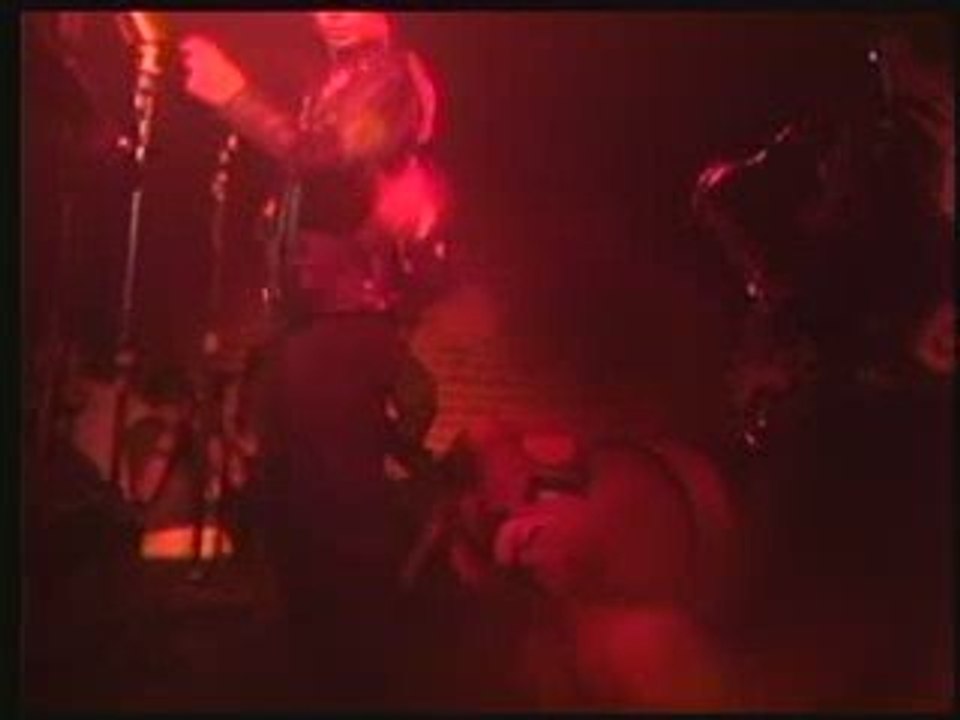 BLACKCATS / BLUE SUEDE SHOES (USA Live)