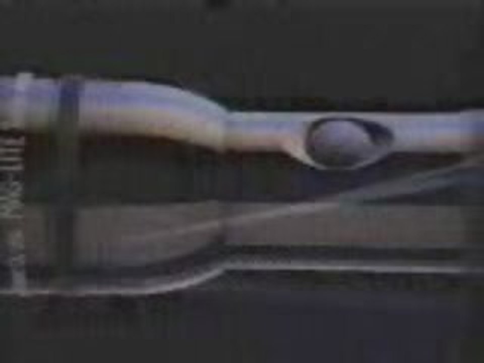 Maglite The Professional Flashlight