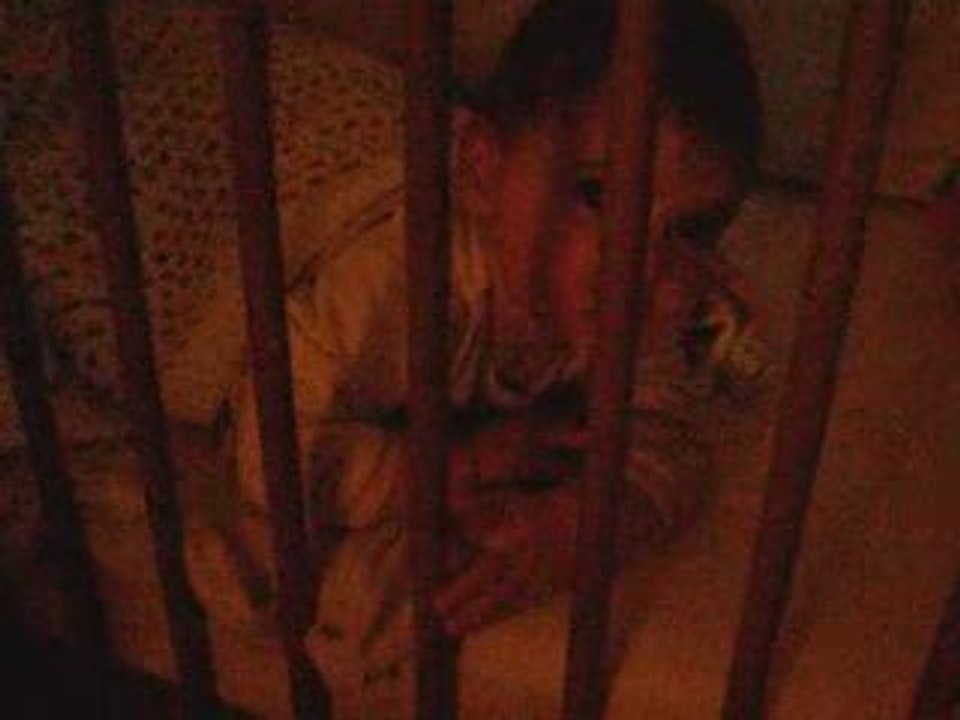 09 10 27 Luna se reveille