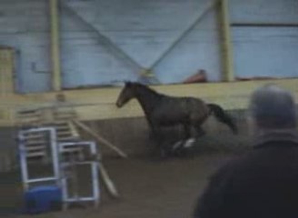 qualinka du syre