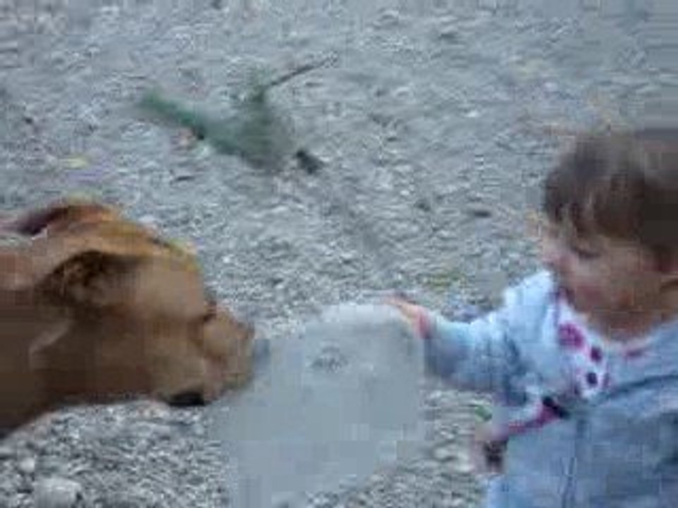 premiers pas de Luna 15 mois