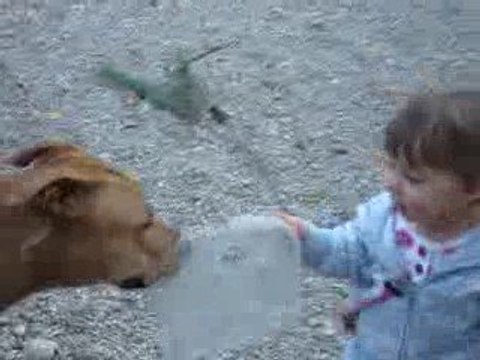 premiers pas de Luna 15 mois