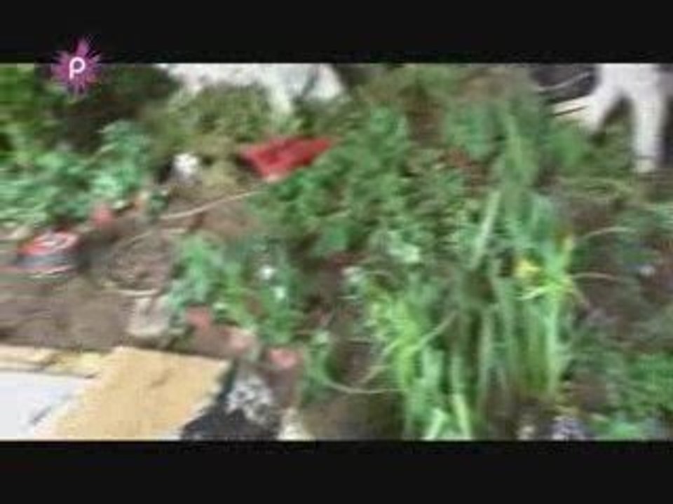 La légende Saint-Martin s’expose aux Floralies de Nantes