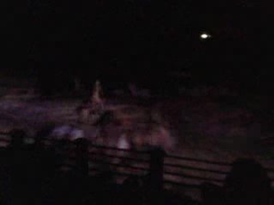 La légende de Buffalo Bill    Disneyland