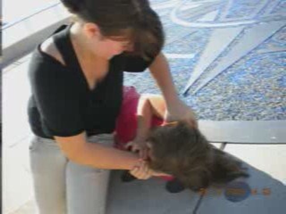 journée avec mes cousines