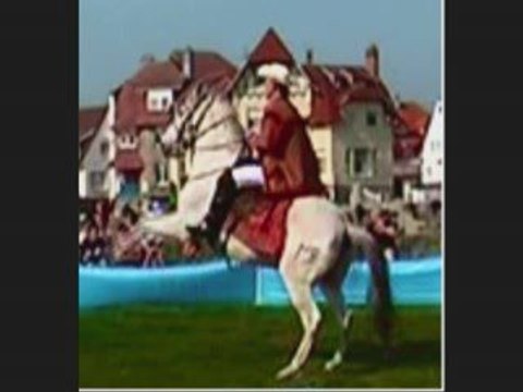 spectacle équestre western,jeux d'adresses, voltige