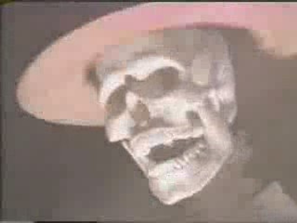 Feel the Fear Music Video