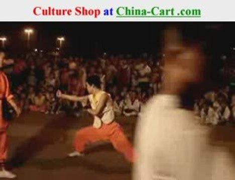 snake Kung Fu snake fist Snake Boxing Style she quan shequan