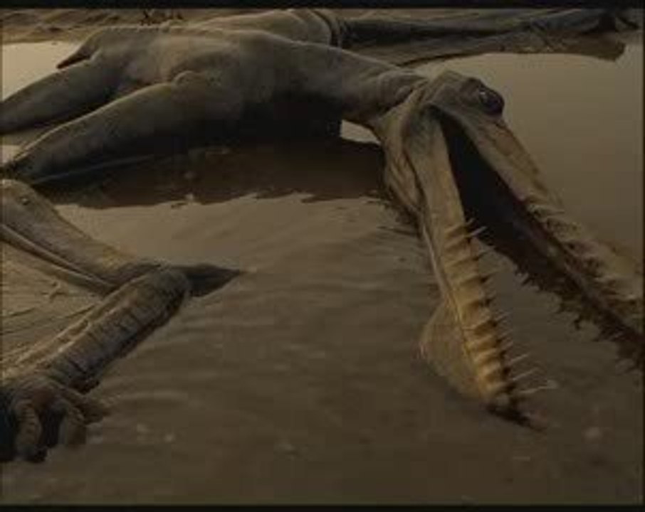 Vidéo complète : Sur la Terre des Dinosaures - 4/6
