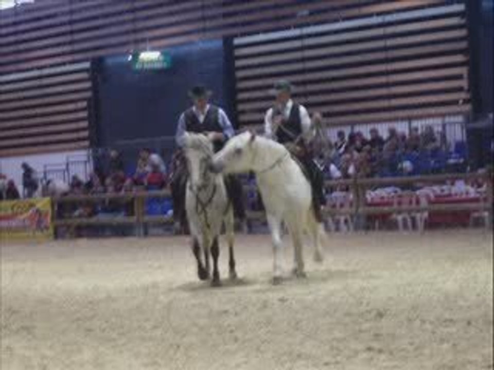 Camarguais Equita_0001