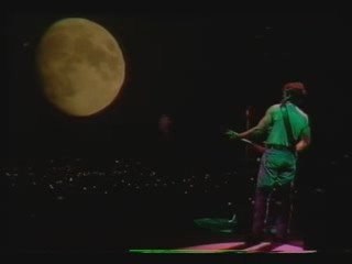 cant help falling in love - bruce springsteen