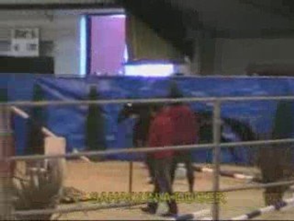 sahaounia_du_ter