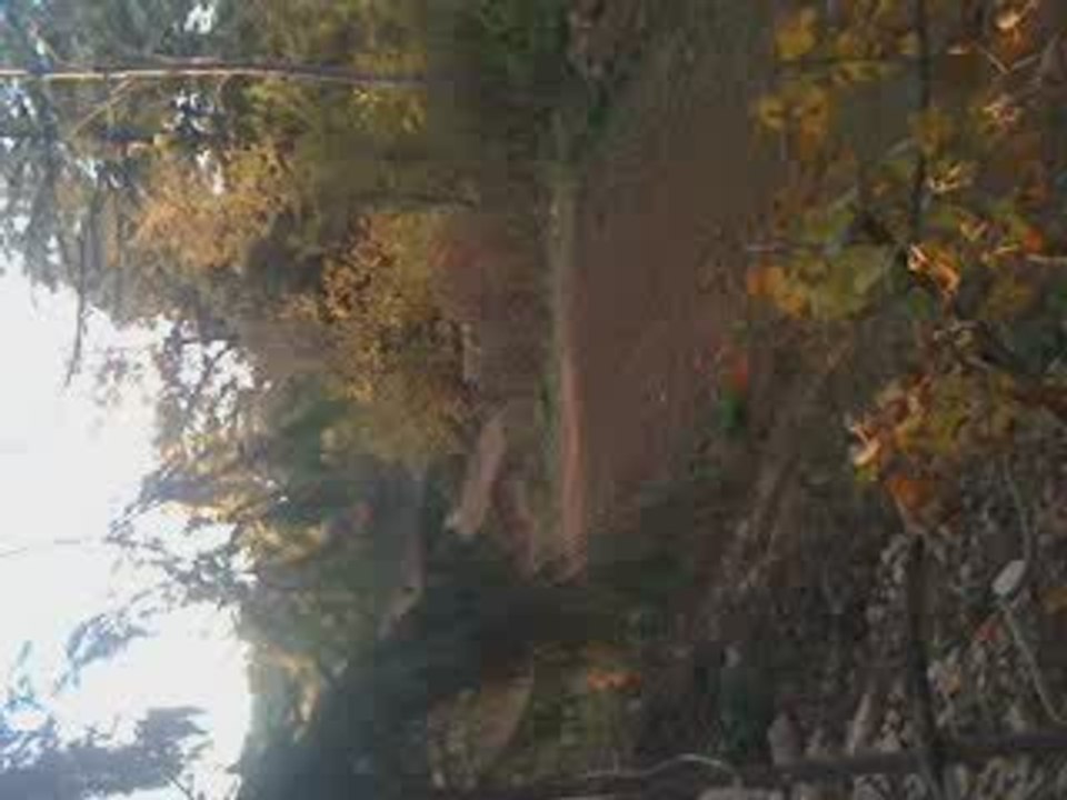 iLoovektm 125 sx Marville