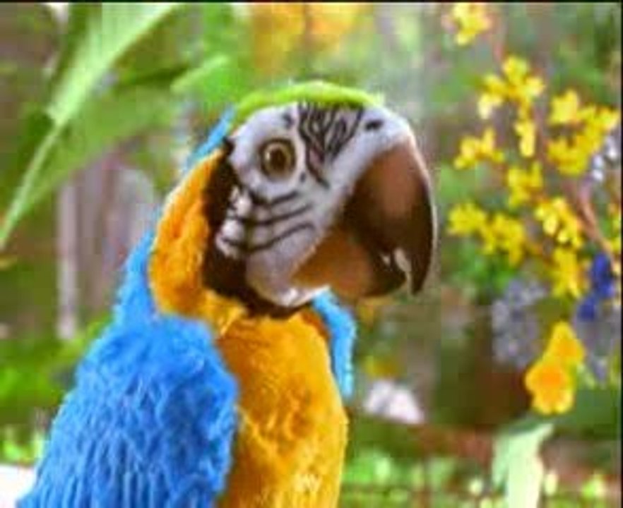 Fur Real Sevimli Papagan 19sn