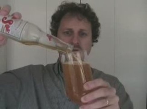Beer Review Sol Mexican Beer FortyBeers.com 9