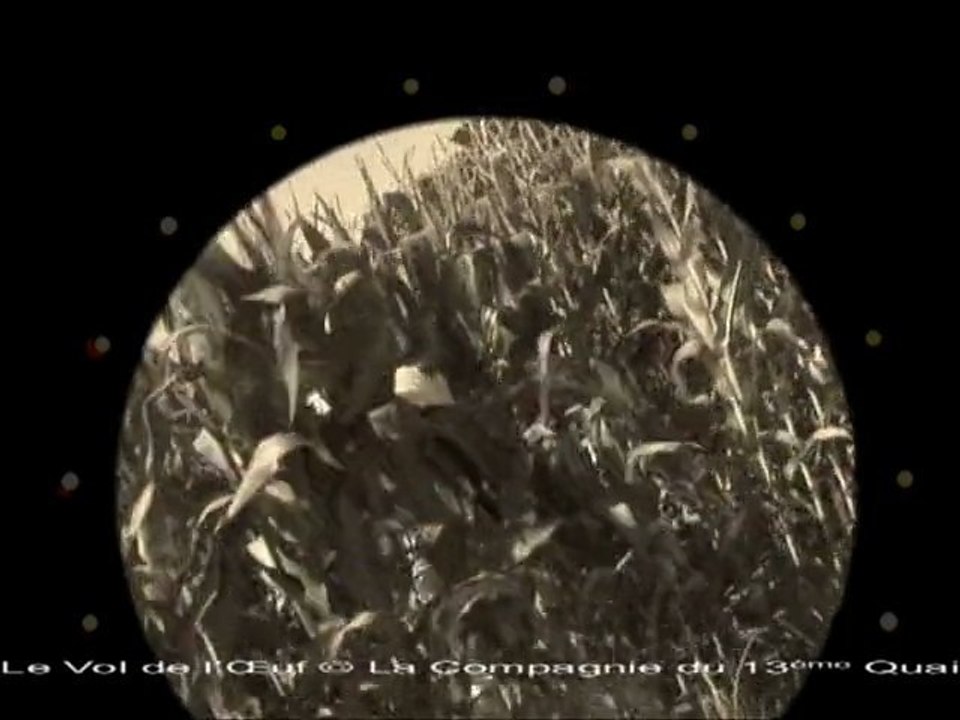 18_V2O_OvocyteP3_mp2