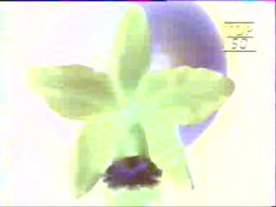 Mylene Farmer - Interview Ardisson 1987