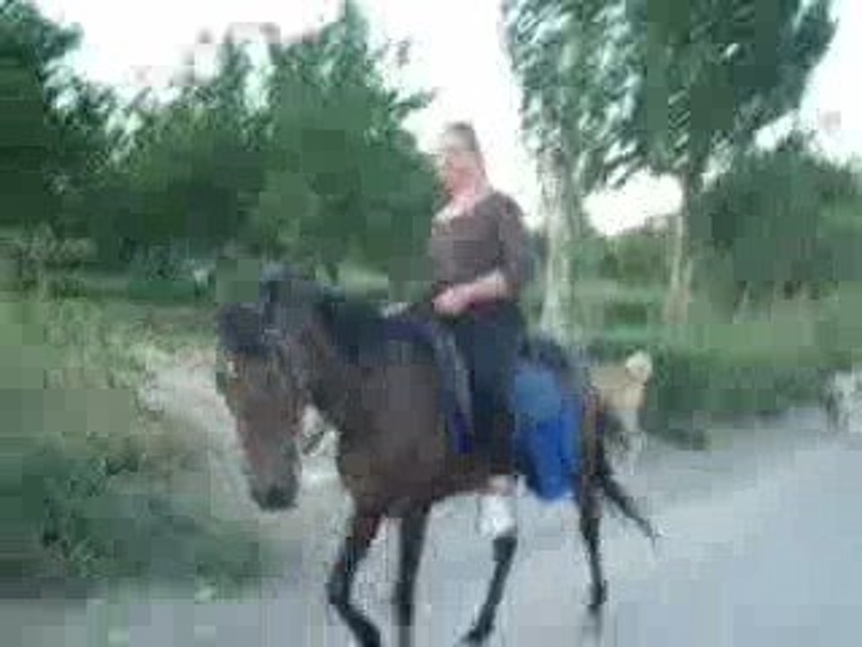 KAPADOKYA DA AT ÇİFLİKLERİNDEYİZ - AKHAL TEKE AT ÇİFLİĞİ (2)