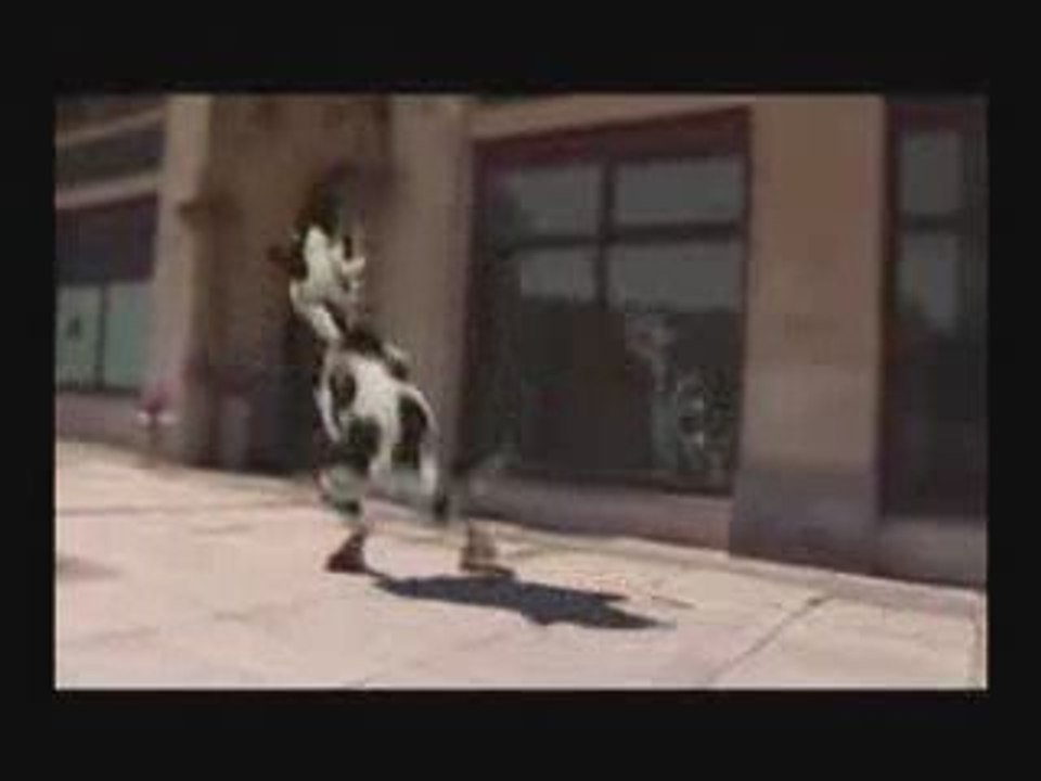 vache à musique
