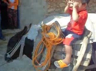 berkay kaan eşeğe biniyor