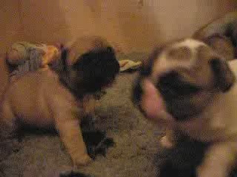 e'rose,eros et eliott 4 semaines