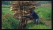 Sustainable model of rural development in Congo