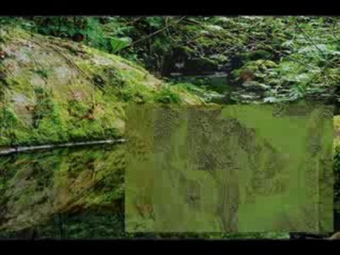 ВЕНЕЦИАНСКАЯ ШТУКАТУРКА мастер класс ДЕКОРАТИВНАЯ ФРЕСКА авторские курсы Киев sites.google.com/site/artfrescodecor/ Artfresco&Decor™Киев - Творческая Мастерская Декора предлагает мастер - классы по Декорированию и Нанесению Декоративной