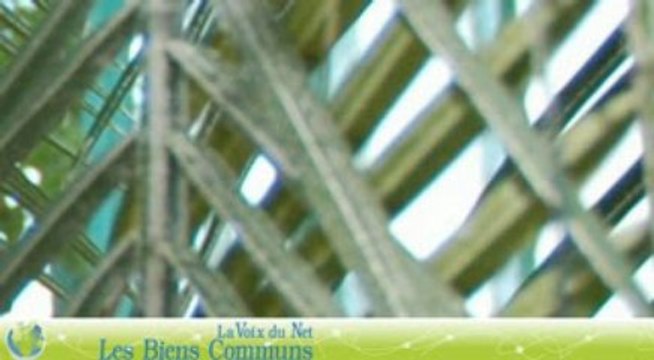 Le Don D'Annie Henrion Pablo dans les Biens Communs