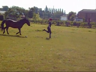 Equi-Libre. Spectacle Equestre. Par Julie L. & Gamin de V.