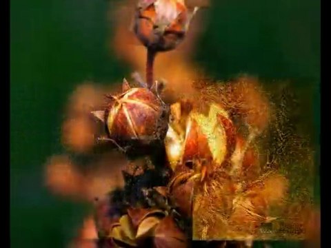 ВЕНЕЦИАНСКАЯ ШТУКАТУРКА мастер классы ДЕКОРАТИВНАЯ ФРЕСКА авторские курсы Киев sites.google.com/site/artfrescodecor/ Artfresco&Decor™Киев - Творческая Мастерская Декора предлагает мастер - классы по Декорированию и Нанесению Декоративной