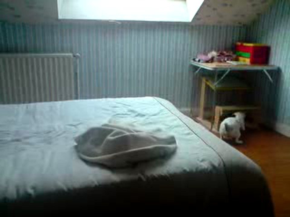 Cahuet s'amuse avec des Chocapic