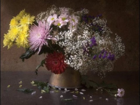 Sonate Clair de lune Beethoven