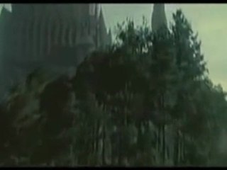 EL BANANERO HARRY POTTER HQ