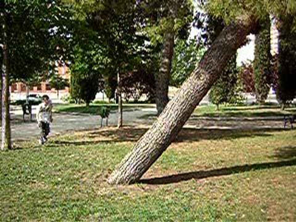 parkour004