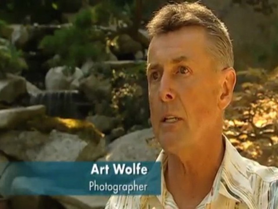 Puget Sound Matters: Art Wolf
