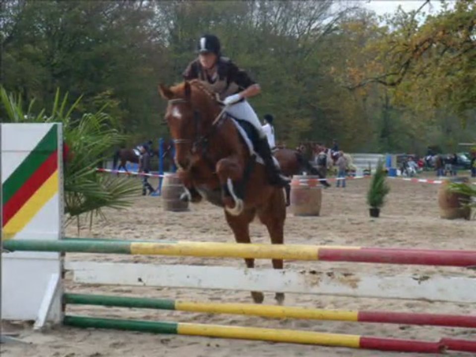 Concours de saut d'obstacles 01.11.09
