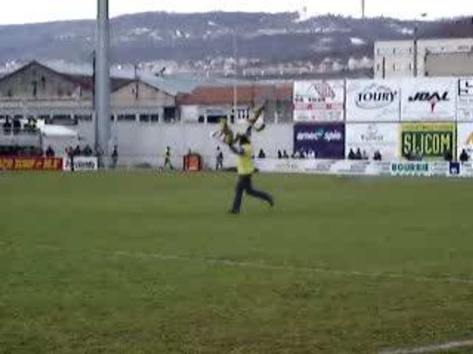 Steve_video_renard USAP