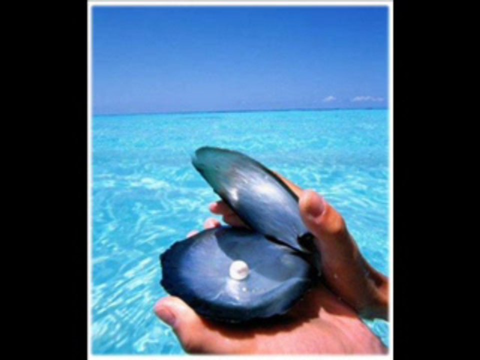 Nilüfer-Kavak Yelleri