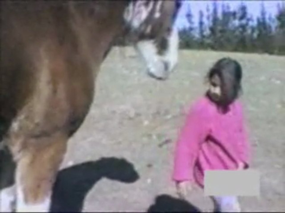 la revanche du cheval