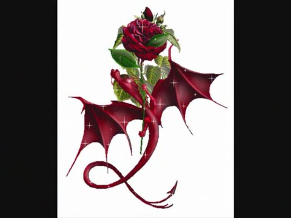 La rose du dragon