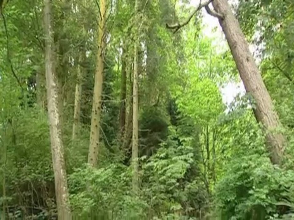 Puget Sound Matters: Alliance for Puget Sound Shorelines