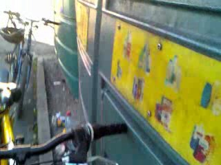 Fouillage de poubelle à la recherche de bouteille vide.