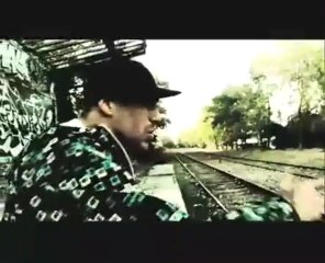 Swift Guad - Narvalo