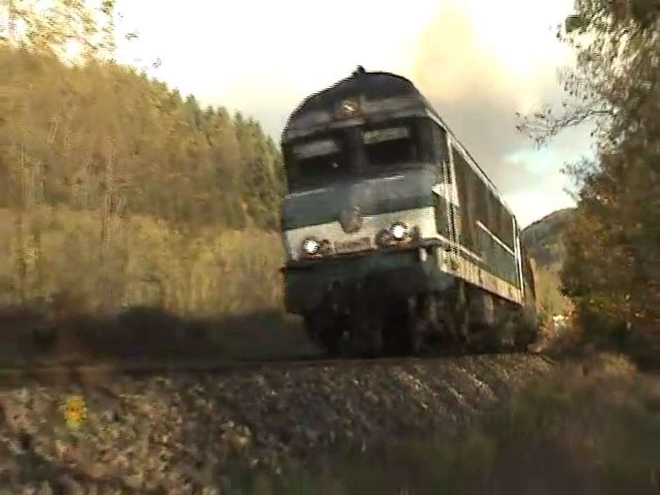 cc72061 dans les sauvages