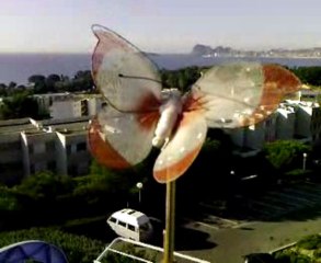 ch@movie_ VUE PARADISIAQUE DE MON BALCON PLEIN SUD