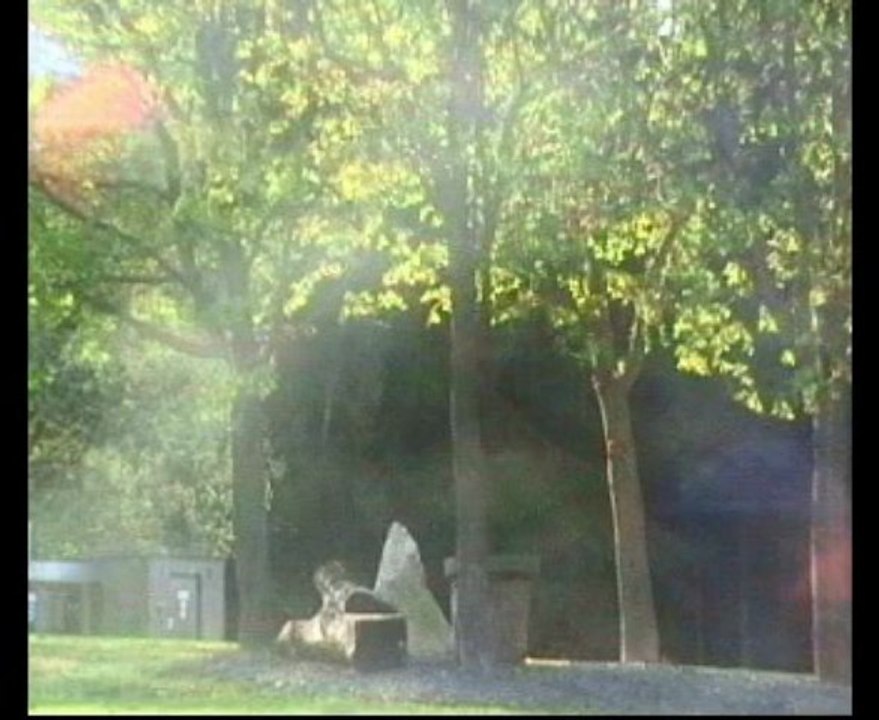 Frühling09