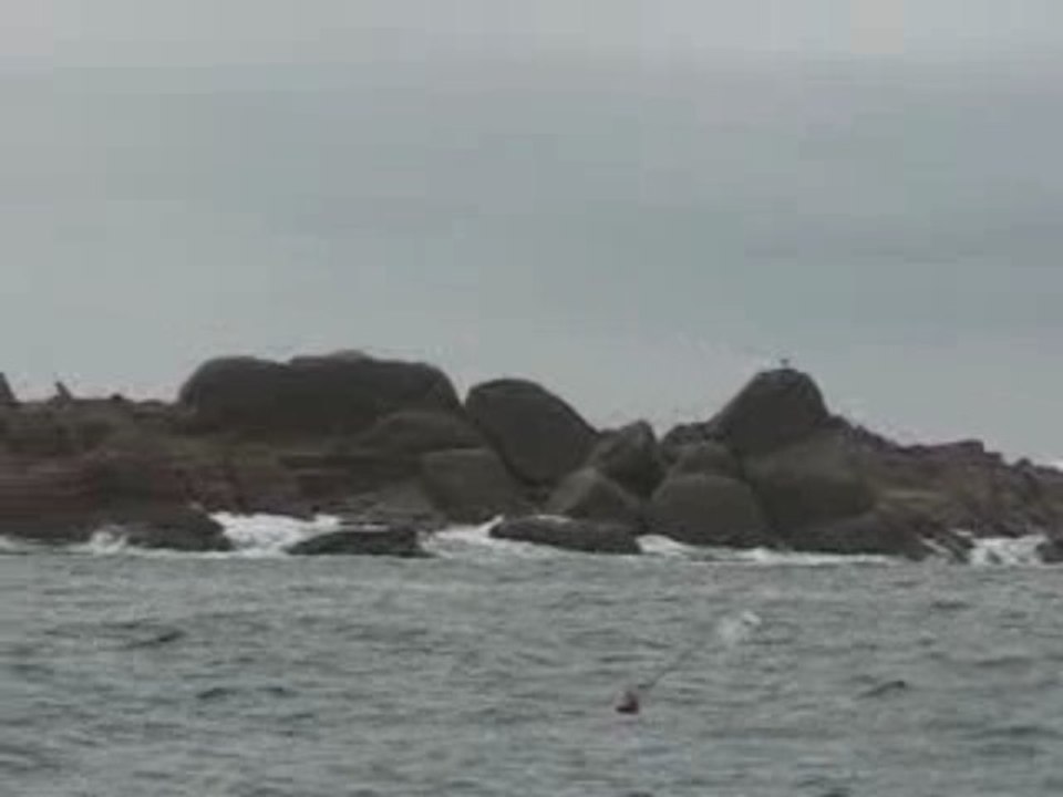 western rock aux scilly