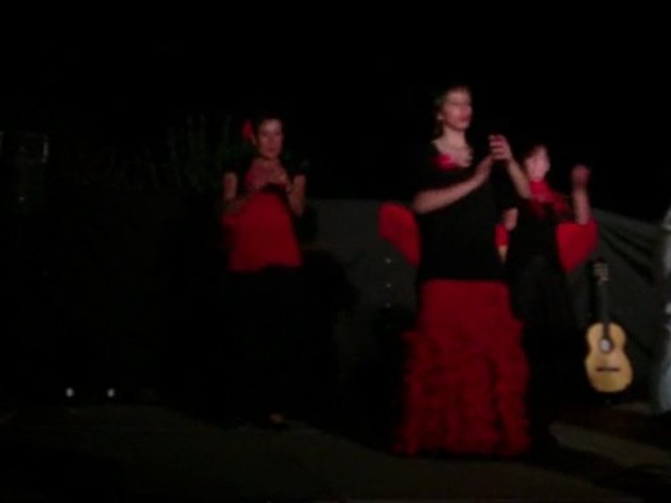 12 flaminco au valbar 2009