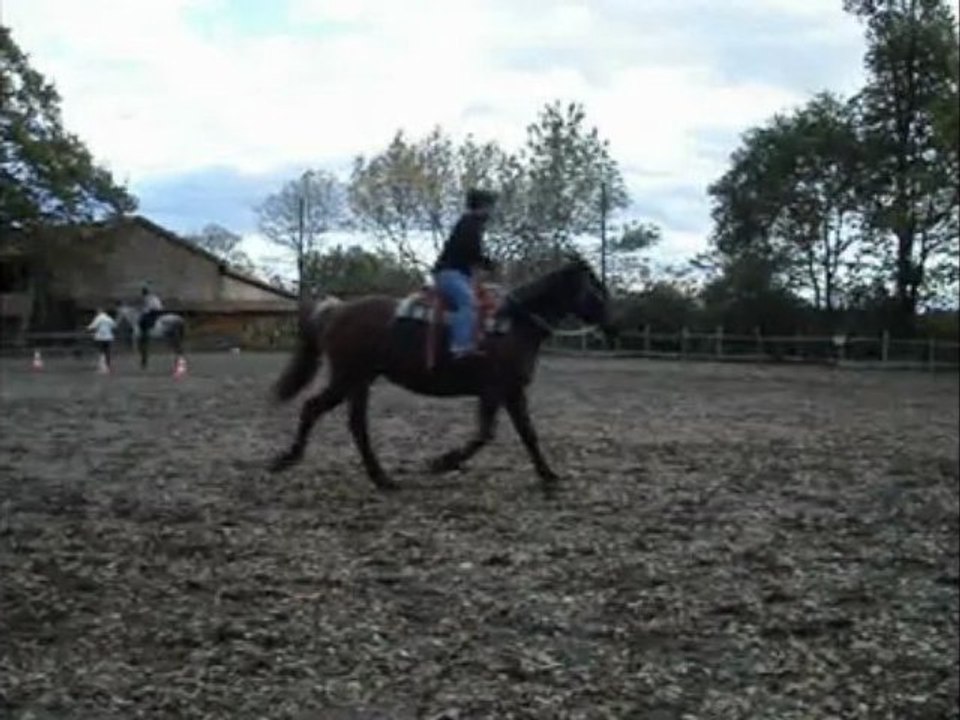 Easy en carriere