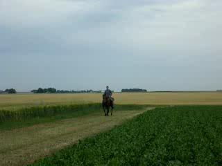 emilie avec gise en plaine